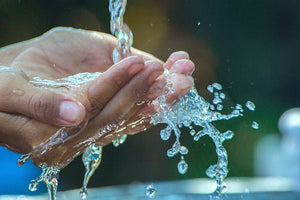 Warum ist Hygiene im Lebensmittelbereich so wichtig?